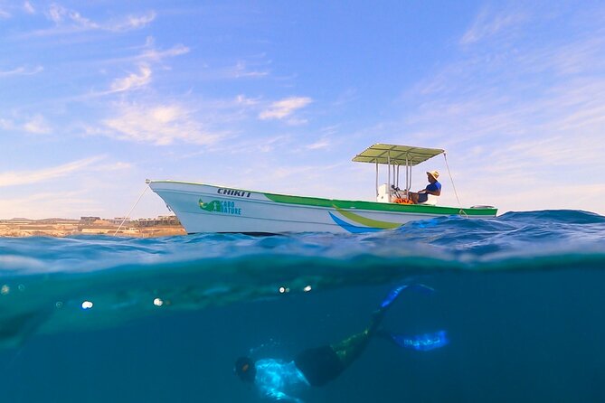 Boat Ride to the Arch and Snorkel - Snorkeling Experiences