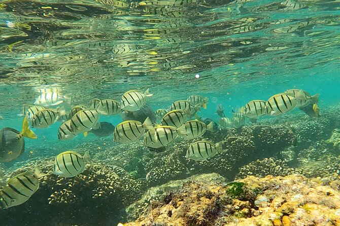 Boat Ride to the Arch and Snorkel - Knowledgeable Guides