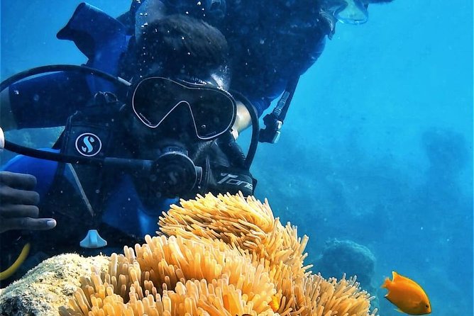 Boat Scuba Diving at Neil Island - Key Points