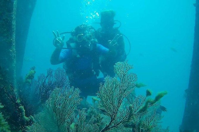 Boat Scuba Diving at Neil Island - Inclusions