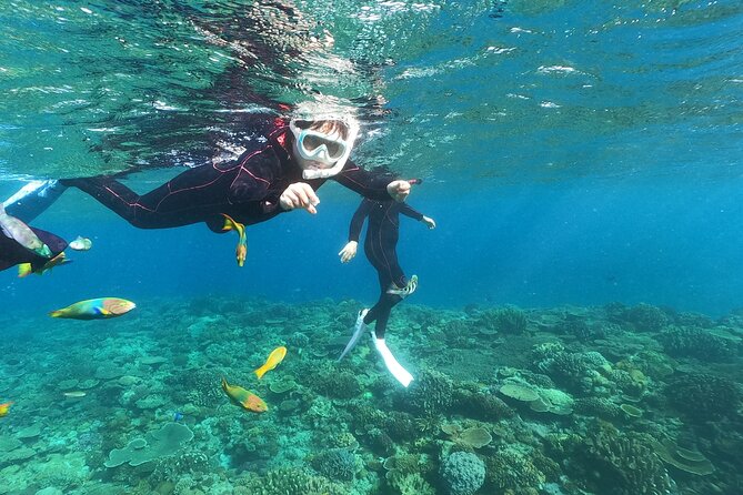 Boat Snorkeling Trip 1 Round at Nakijin, Kouri Island , Okinawa - Key Points