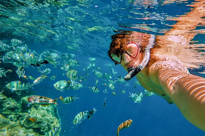 Boat Tour and Snorkel at Pelican Rock - Inclusions and Amenities