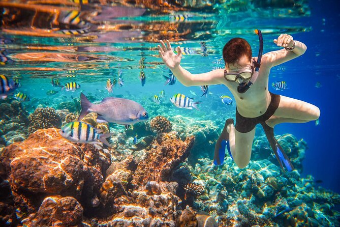 Boat Tour and Snorkel at Pelican Rock - Meeting and Pickup Details