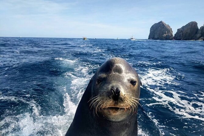 Boat Tour and Snorkel at Pelican Rock - Customer Experiences