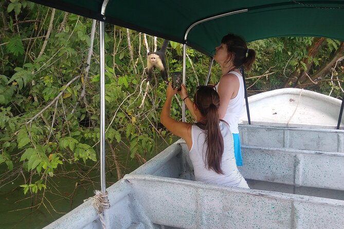 Boat Tour and Wildlife in the Panama Canal - Inclusions and Logistics