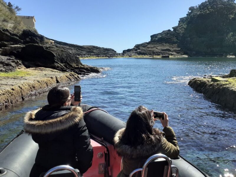 Boat Tour Around Vila Franca Do Campo Islet in Azores - Experience Highlights