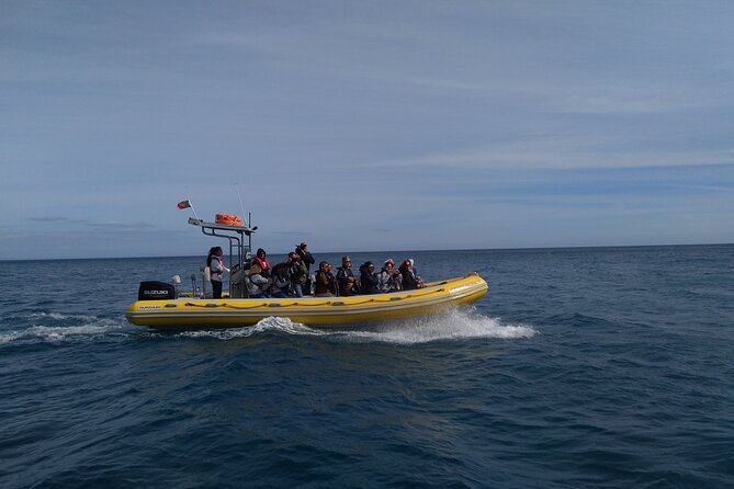 Boat Tour - Arrábida Coves - Destination Highlights
