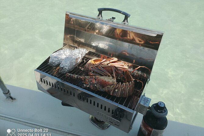 Boat Tour , Catch & Cook | Creative Eco Adventures - An In-Depth Look at the Catch & Cook Experience