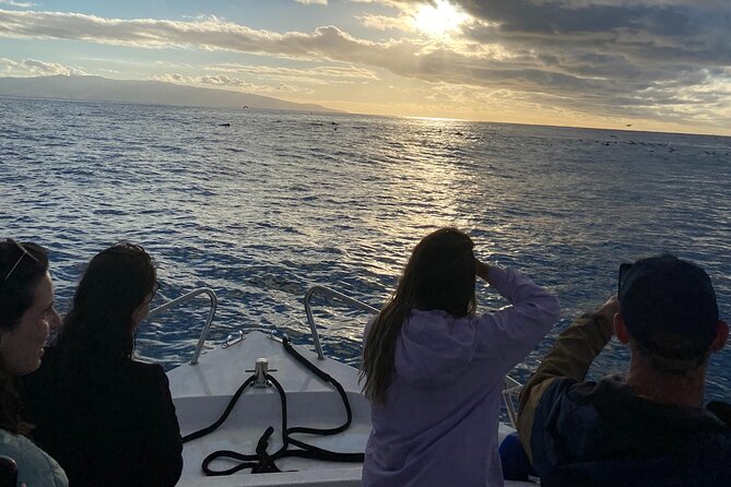 Boat Tour: Cave Tour on The North Coast - Booking Information