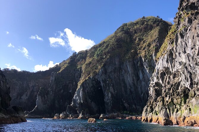 Boat Tour: Cave Tour on The North Coast - Traveler Experiences