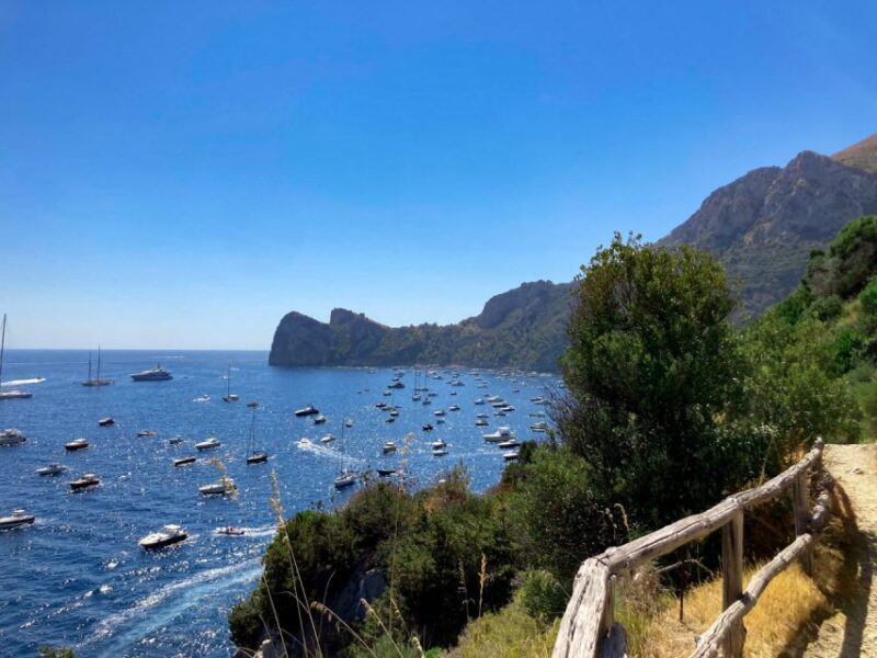 Boat Tour Dinner Experience in Nerano or Amalfi - Experience Highlights