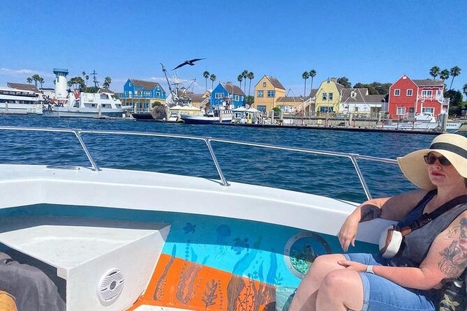 Boat Tour Experience Sea Life Up Close - Inclusions: Snacks, Drinks, and More