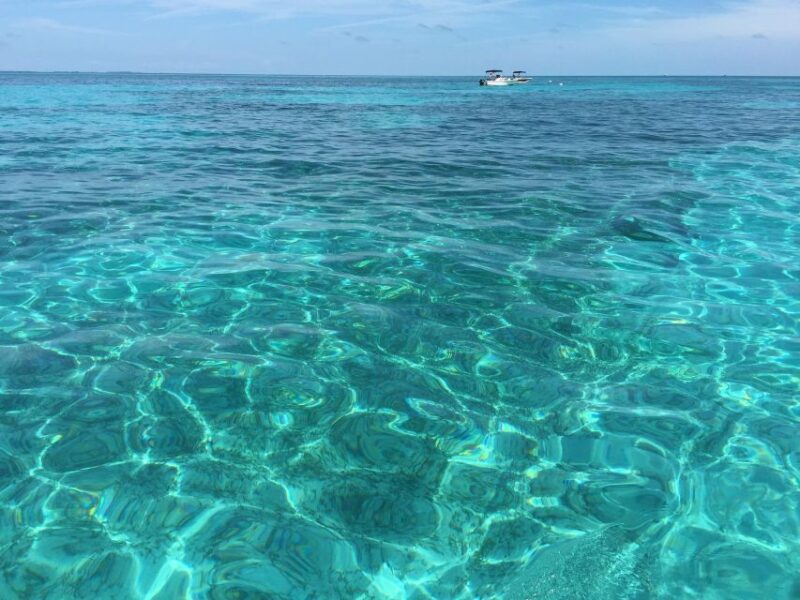 Boat Tour From Avola to Portopalo With Visit to Marzamemi - Customer Feedback and Ratings