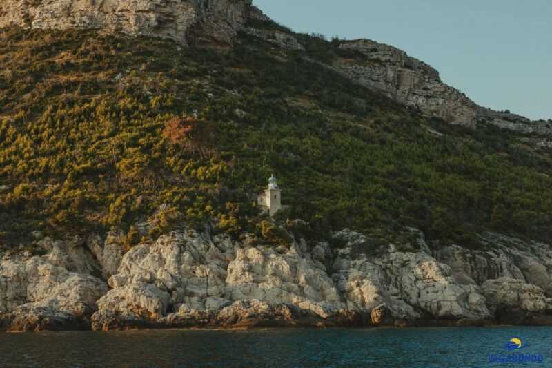 Boat Tour From Ston to Mljet National Park - Tour Details