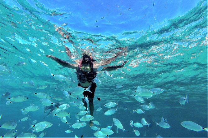 Boat Tour From the Beaches of Ibiza to the Cave of Cala Basa - Participation Guidelines
