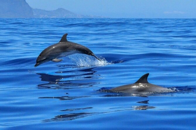 Boat Tour Giardini Naxos Taormina Isola Bella Blue Grotto - Reviews