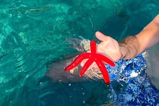 Boat Tour Giardini Naxos Taormina Isola Bella Blue Grotto - Savoring Sicilian Sweets and Prosecco