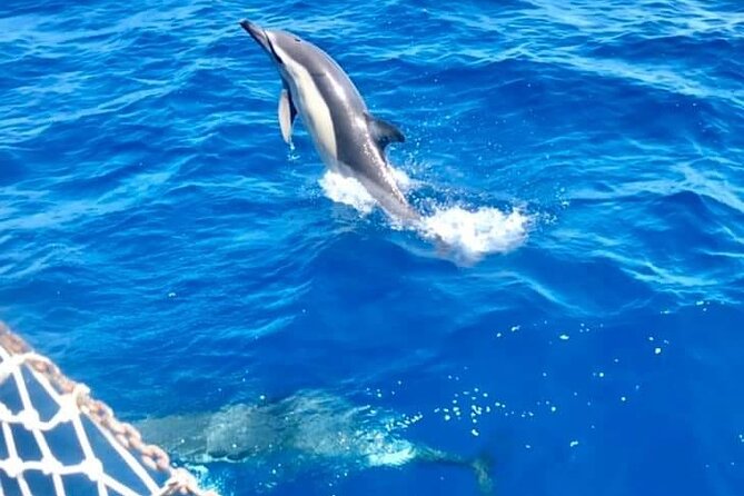 Boat Tour in Mondello Bay in Sicily - Cancellation and Refund Policy