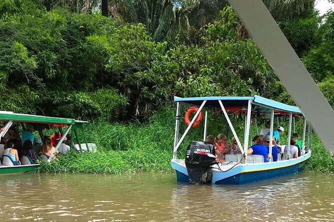 Boat Tour in Palo Verde River | Near Nicoya - Location and Highlights