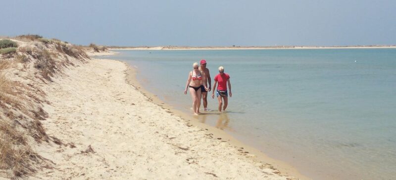 Boat Tour in Ria Formosa 5H - Key Points