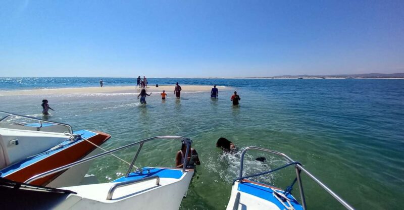 Boat Tour in Ria Formosa 5H - Cancellation and Booking Policy
