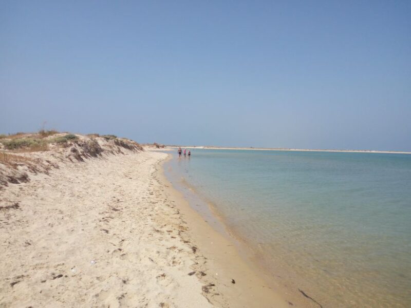 Boat Tour in Ria Formosa 5H - Island Destinations and Activities