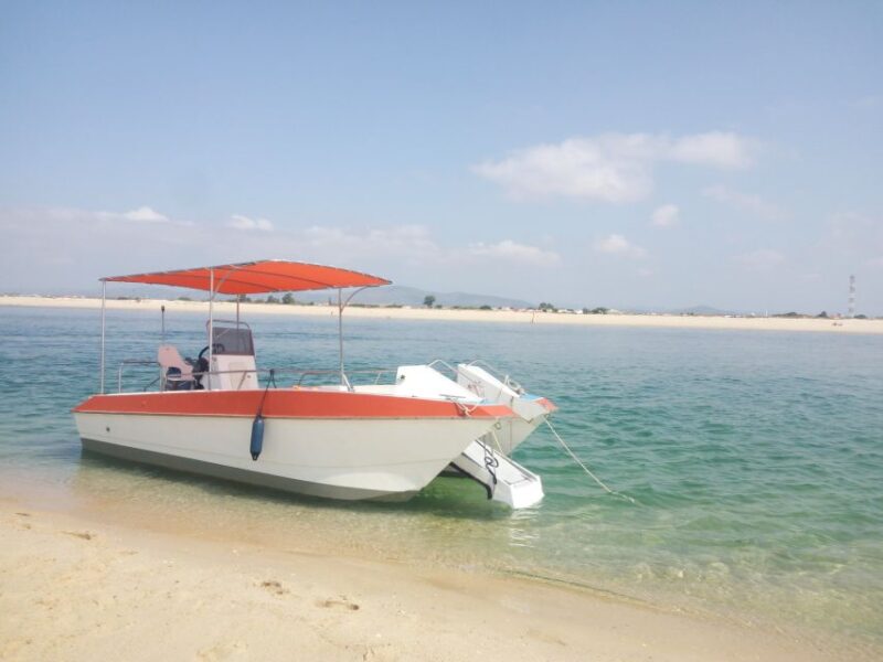 Boat Tour in Ria Formosa 5H - Group Size and Tour Guide