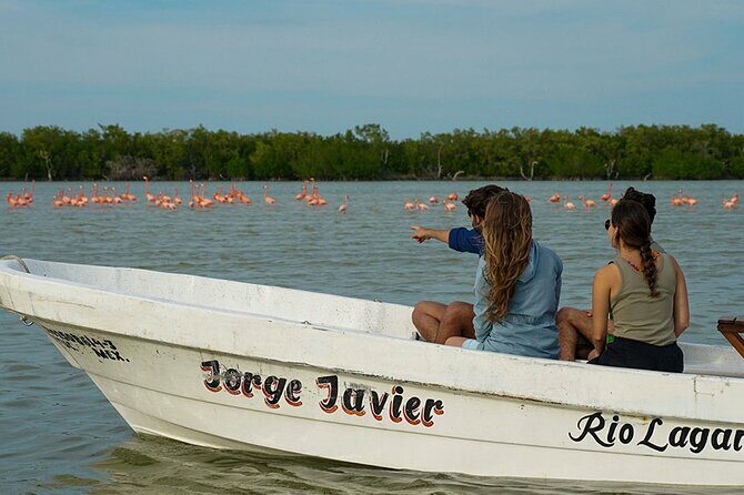 Boat tour in Río Lagartos Natural Reserve, with Food - Final Thoughts