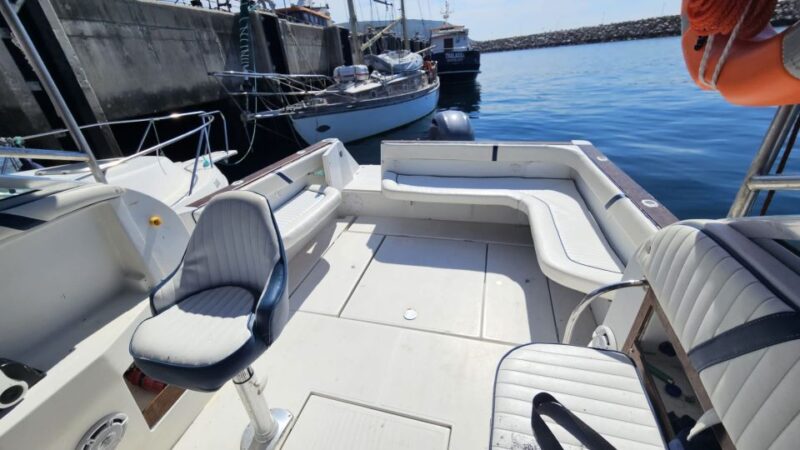 Boat Tour in Sesimbra (Public/Shared) - Customer Feedback