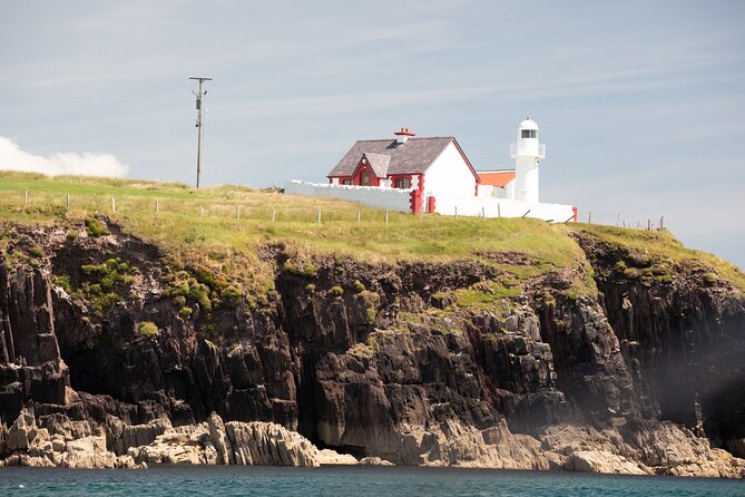Boat Tour of Dingle Peninsula - Boat Tour Highlights