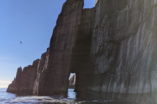 Boat Tour of Dingle Peninsula - Customer Reviews