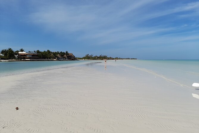 Boat Tour of Three Islands in Holbox With Transportation - Traveler Experiences and Feedback