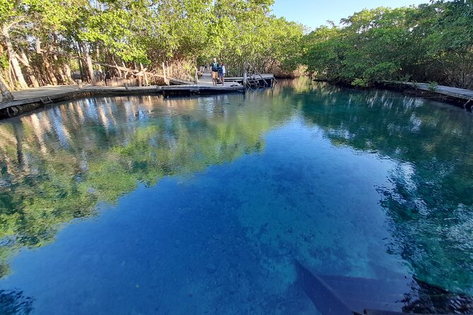 Boat Tour of Three Islands in Holbox With Transportation - Guide Services and Commentary