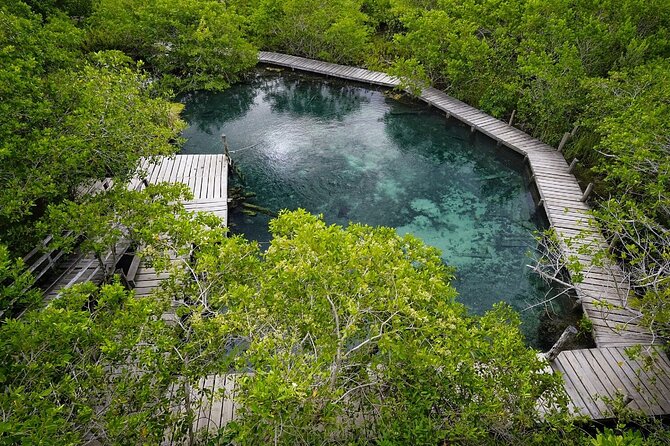 Boat Tour of Three Islands in Holbox With Transportation - Recommendations and Considerations