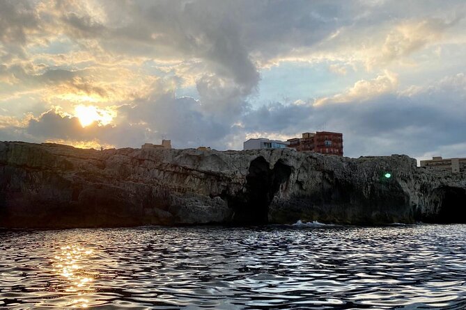 Boat Tour Ortigia, Sea Caves and Pillirina 2h - Accessibility Details