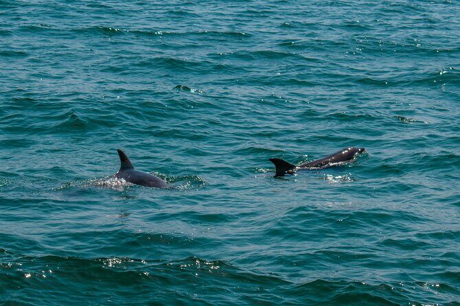 Boat Tour Snorkeling Tour with Guide, Drinks and Fruit - Snorkeling at a Marine Sanctuary