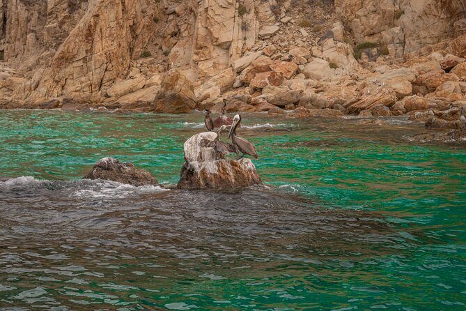 Boat Tour Snorkeling Tour with Guide, Drinks and Fruit - FAQ