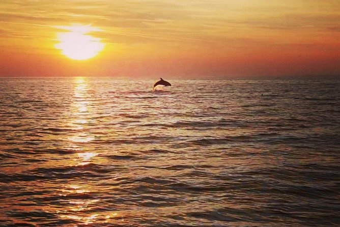 Boat Tour, Swimming, Snorkeling, South Istria, Kamenjak, Premantura - Explore Coastline