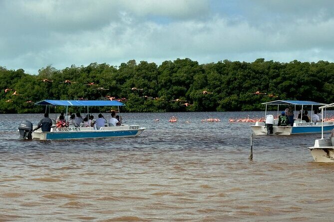 Boat tour through the mangroves of Celestún and Playa from Merida - Final Thoughts