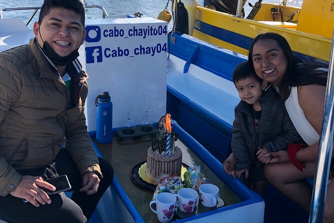 Boat Tour to Cabo San Lucas Arch and Rock Formations - Highlights of the Experience