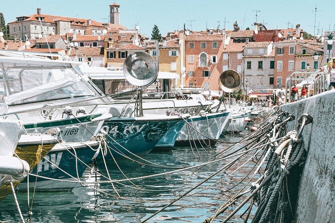 Boat Tour to Rovinj and Lim Fjord - Discovering Lim Fjord