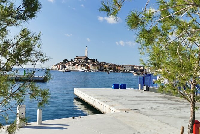 Boat Tour to Rovinj and Lim Fjord - Returning to the Start
