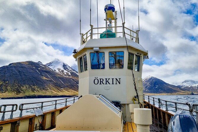 Boat Tours From Siglufjörður - Meal and Fishing Options