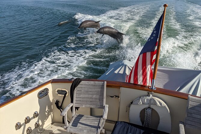 Boat Tours of Cape Ann: Whale or Seal Watching, Lighthouses and Harbor Cruises. - Whale and Seal Watching