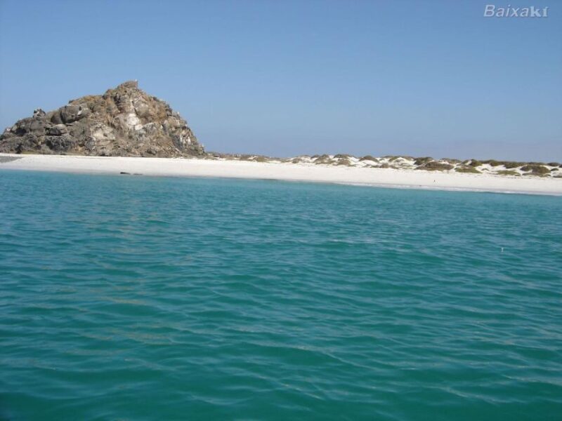 Boat Tours - Key Points