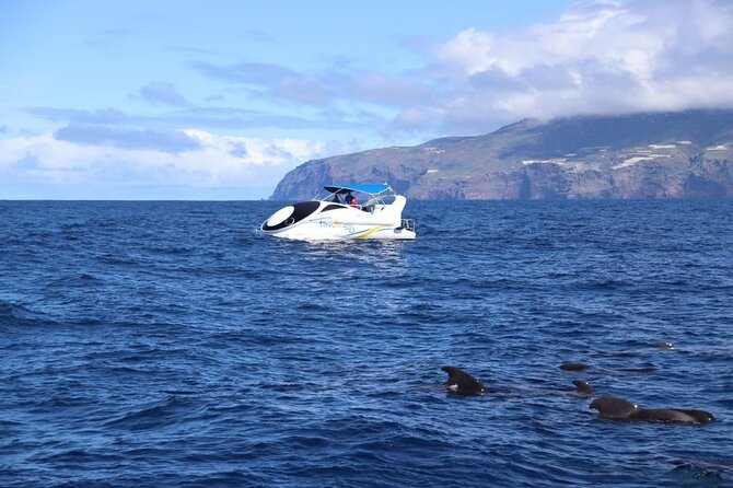 Boat Trip Along the Northwest Coast of La Palma - Boat Features