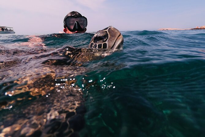 Boat Trip and Snorkeling at Daymaniyat Island - Minimum Traveler Requirements