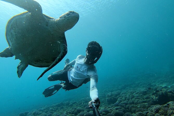 Boat Trip and Snorkeling at Daymaniyat Island - Highlights of Daymaniyat Island