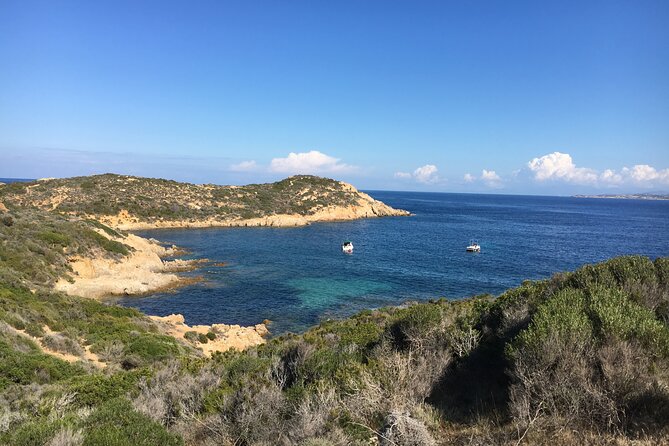 Boat Trip and Snorkeling in the Gulf of Calvi - Customer Feedback and Experiences