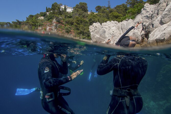 Boat Trip and Snorkeling in Villefranche-Sur-Mer - Marine Life Observations